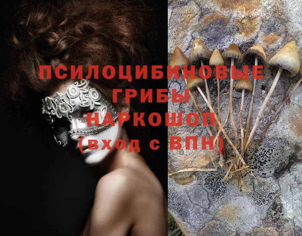 spice Беломорск