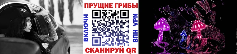 Псилоцибиновые грибы GOLDEN TEACHER  shop какой сайт  Холм 